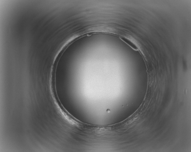 X0000073541139200608141045