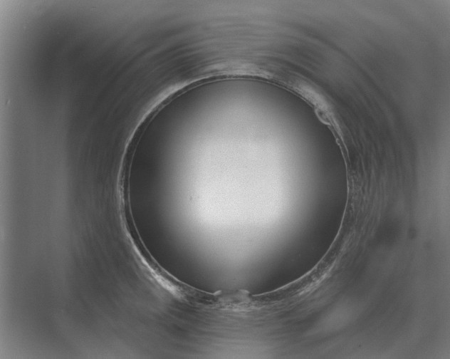 X0000073541141200608141045