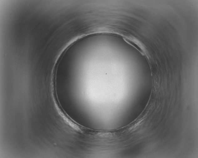 X0000073541142200608141045