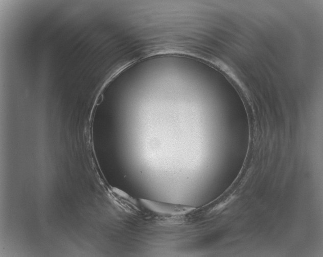 X0000073541145200608141045