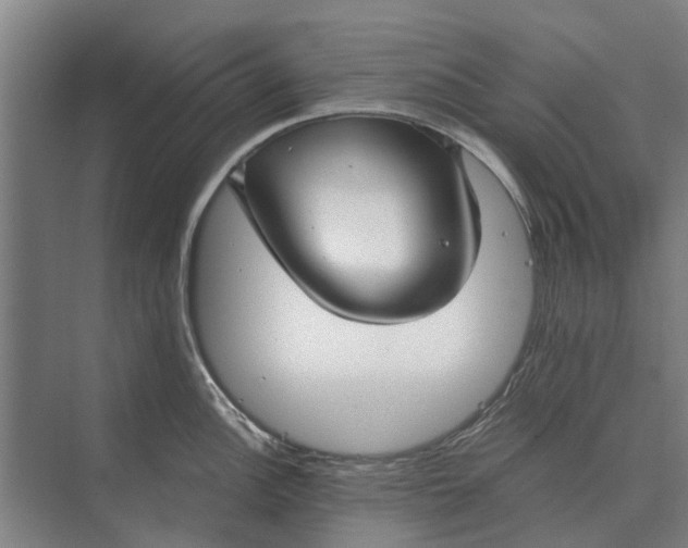 X0000073541148200608141046