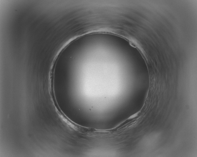 X0000073541151200608141046