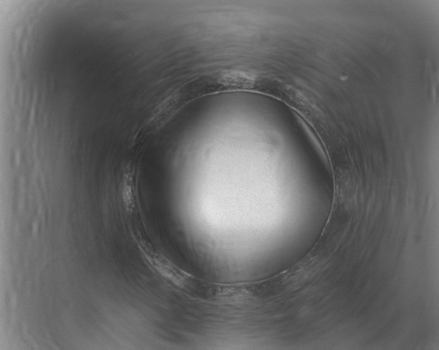 X0000073541154200608141045