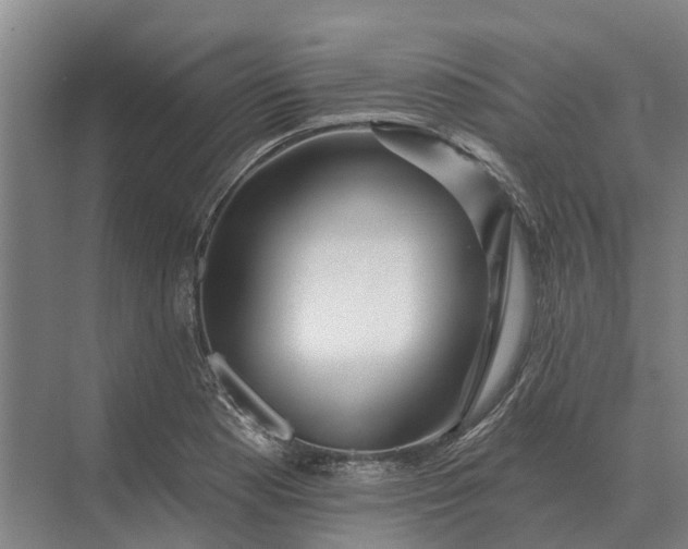 X0000073541177200608141044