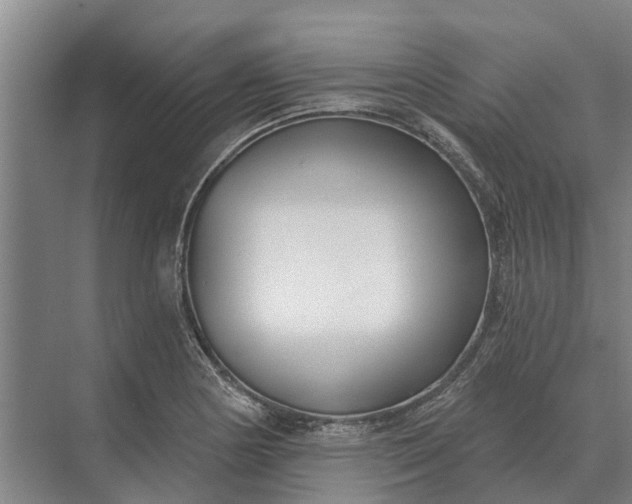 X0000073541178200608141044