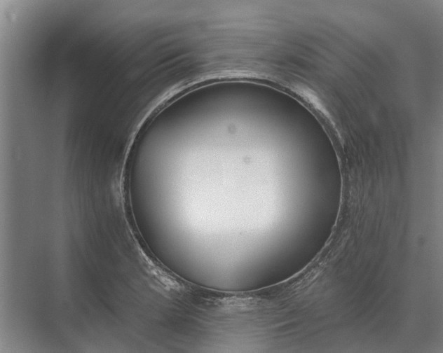 X0000073541181200608141044