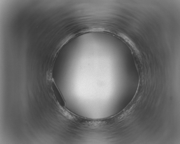 X0000073541193200608141044