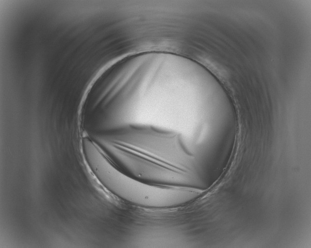 X0000073541200200608141044