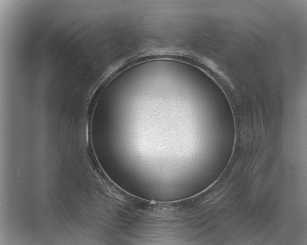 X0000073541221200608141043