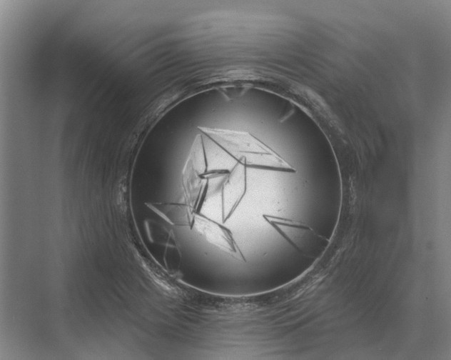 X0000073541225200608141044