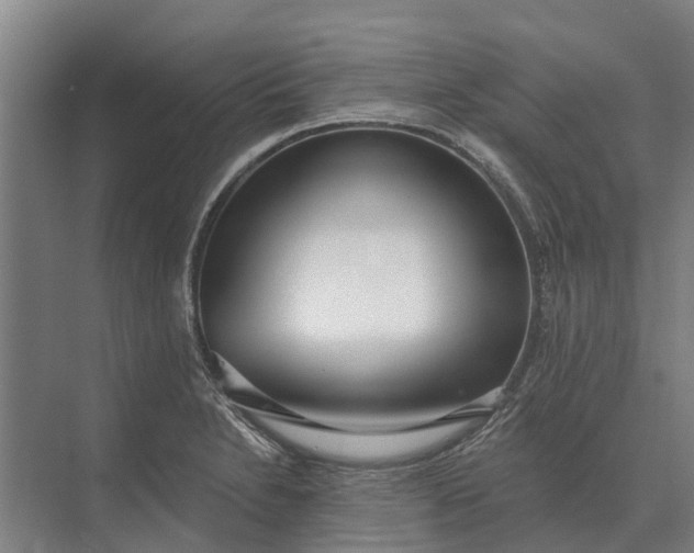 X0000073541230200608141044
