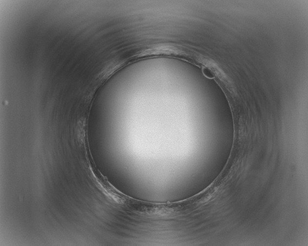 X0000073541233200608141044