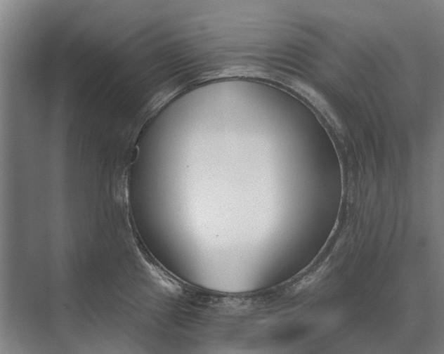 X0000073541241200608141044