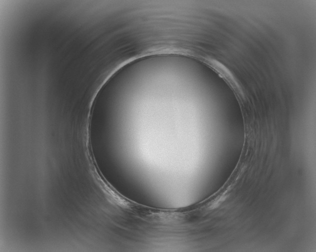 X0000073541244200608141044