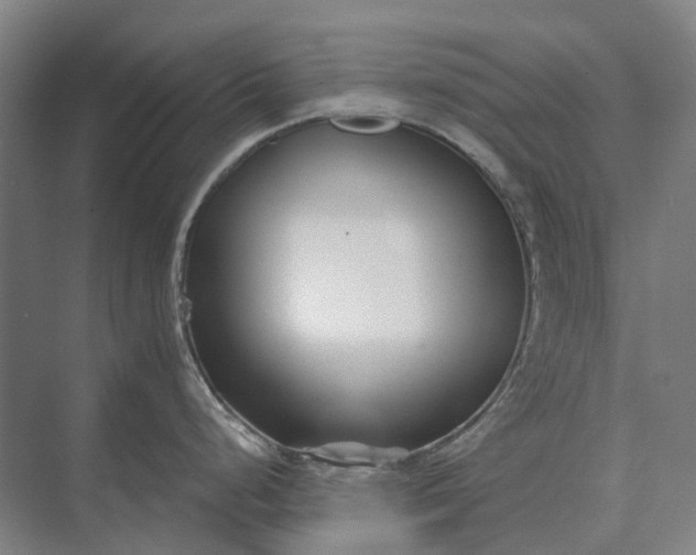 X0000073541248200608141044