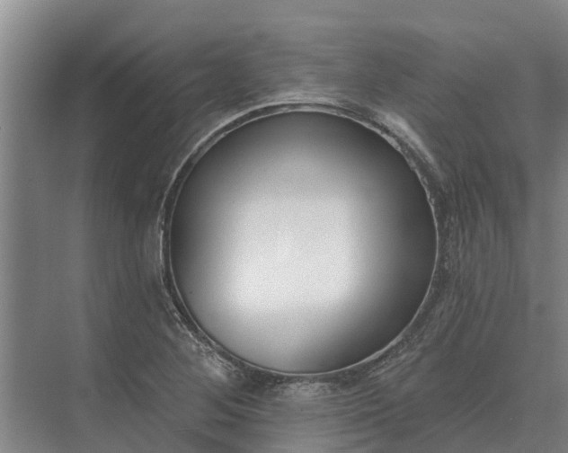 X0000073541268200608141043