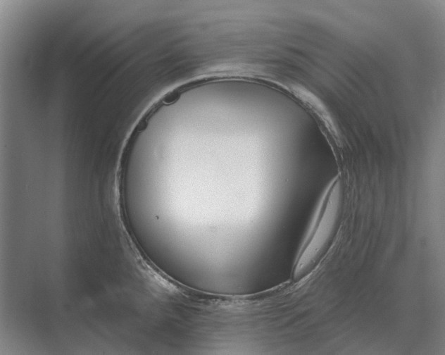X0000073541288200608141042