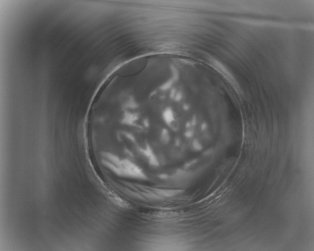 X0000073541291200608141042