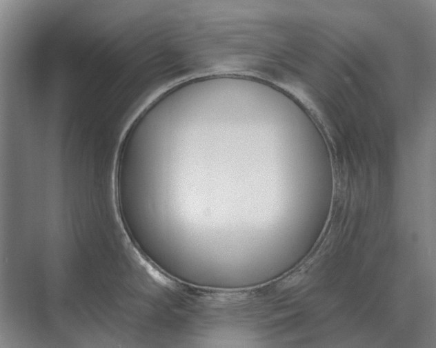 X0000073541294200608141042