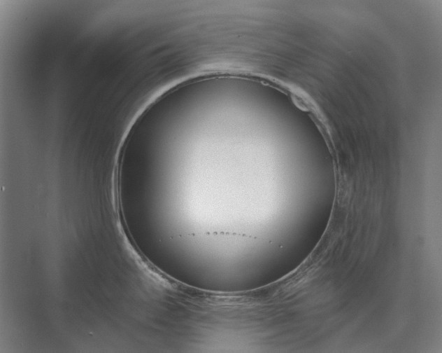 X0000073541295200608141042