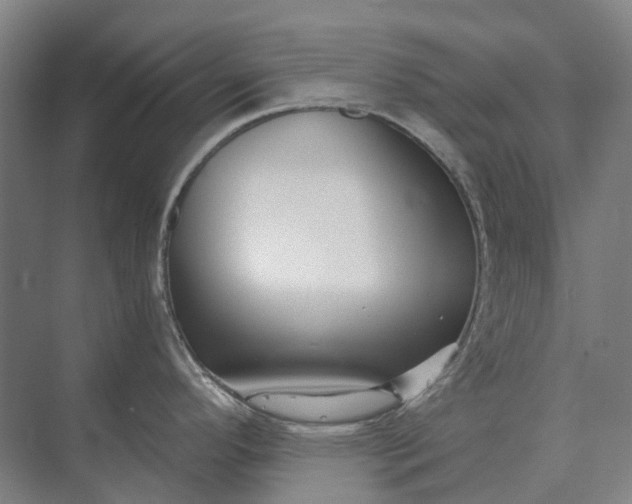 X0000073541296200608141042