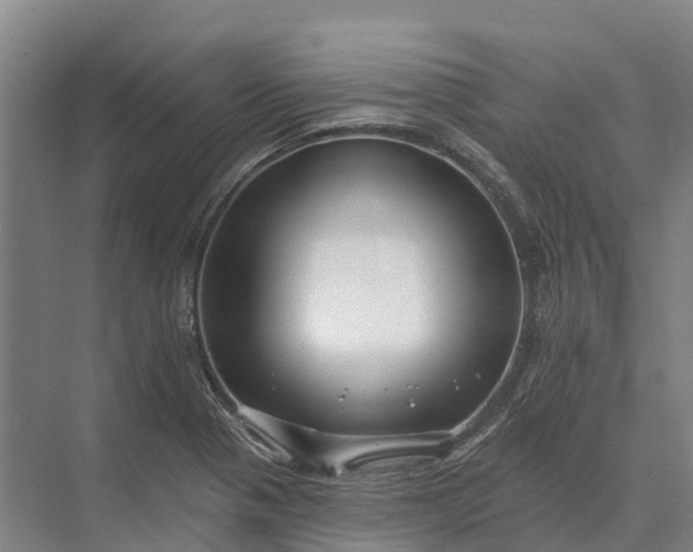 X0000073541321200608141042
