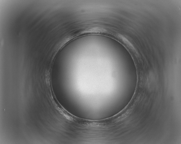 X0000073541329200608141042