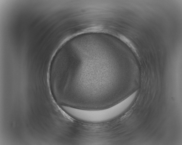 X0000073541334200608141042