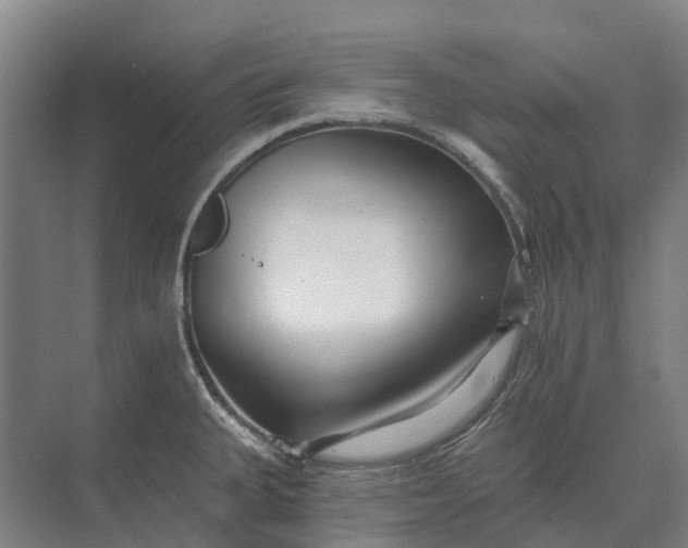 X0000073541335200608141042
