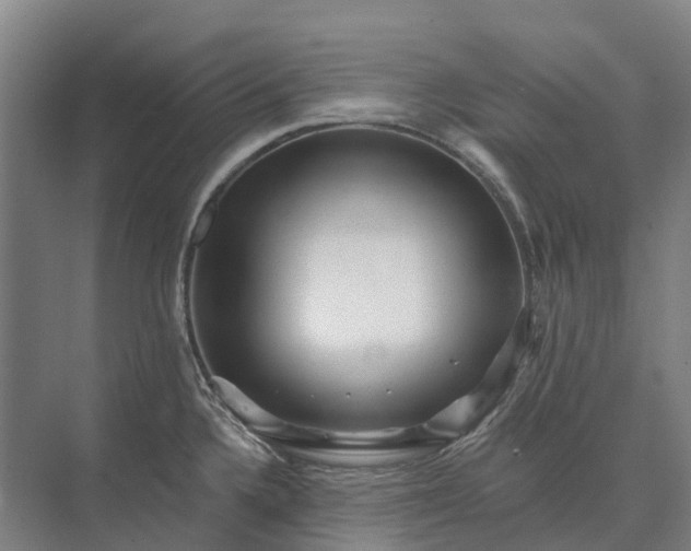 X0000073541336200608141042