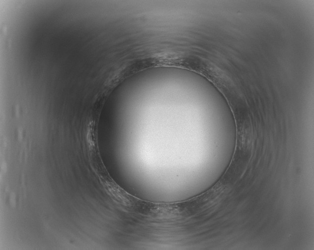 X0000073541346200608141041