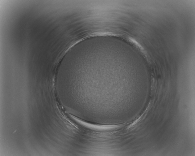 X0000073541361200608141041