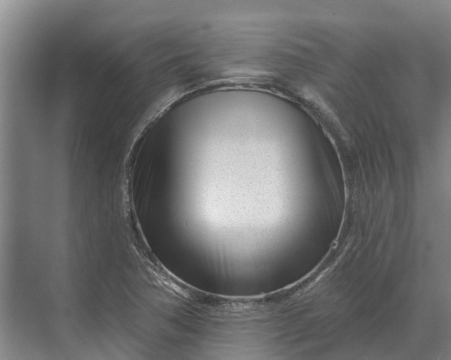 X0000073541362200608141041