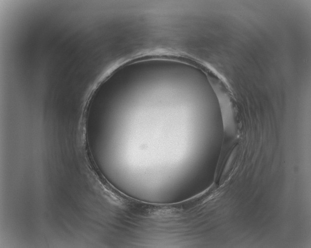 X0000073541367200608141041