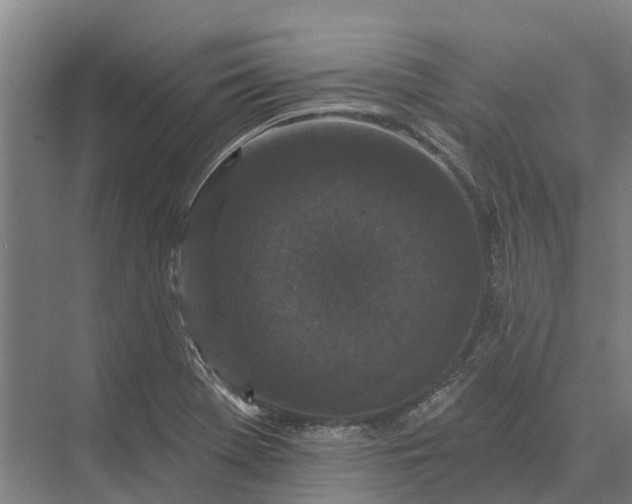 X0000073541369200608141041