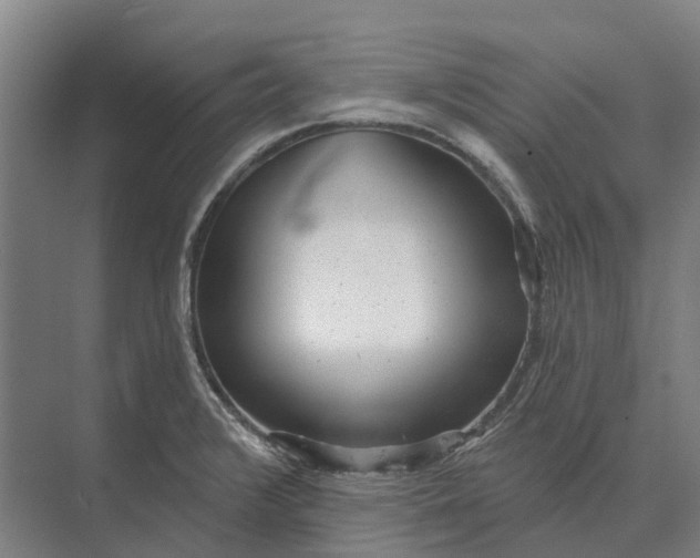 X0000073541376200608141041