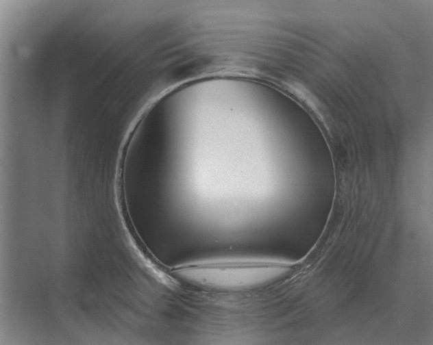X0000073541379200608141041