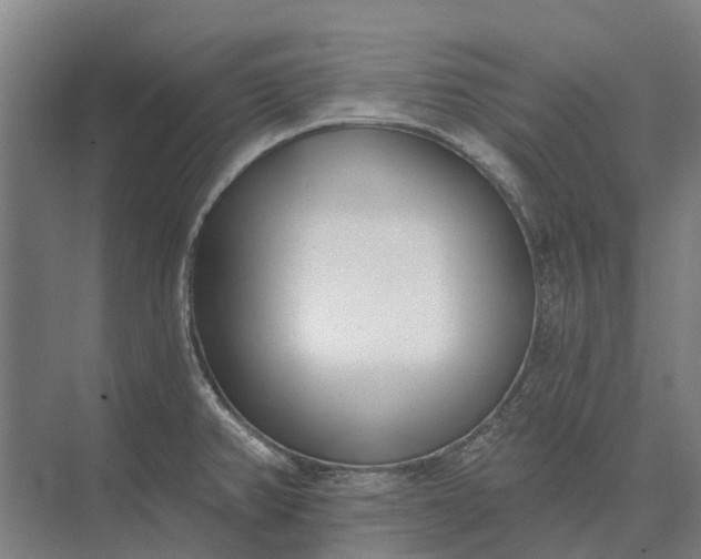 X0000073541382200608141041