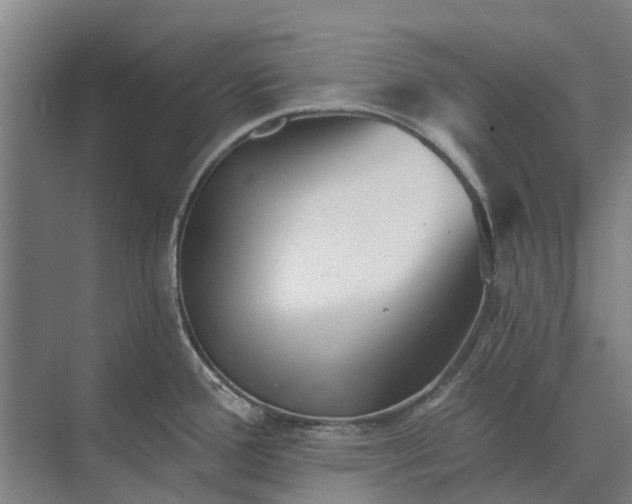 X0000073541388200608141041
