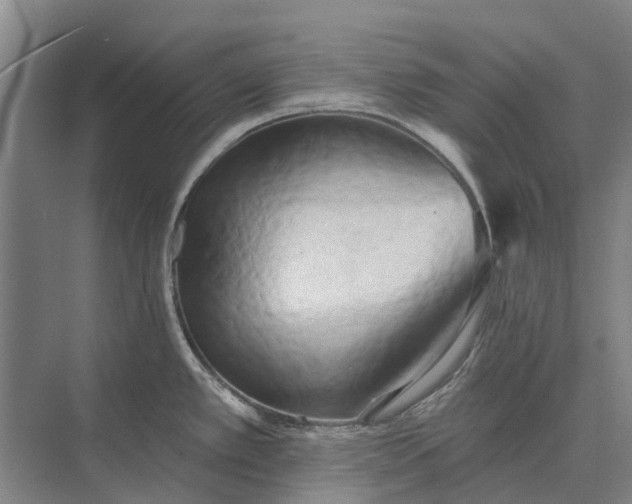 X0000073541389200608141041