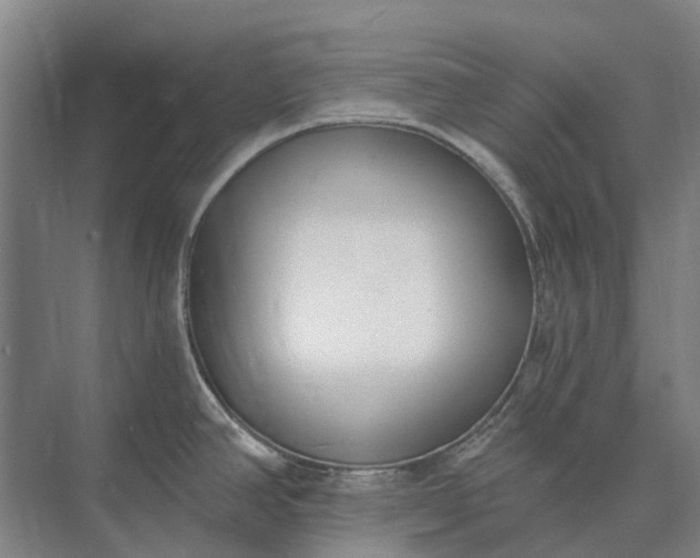 X0000073541390200608141041