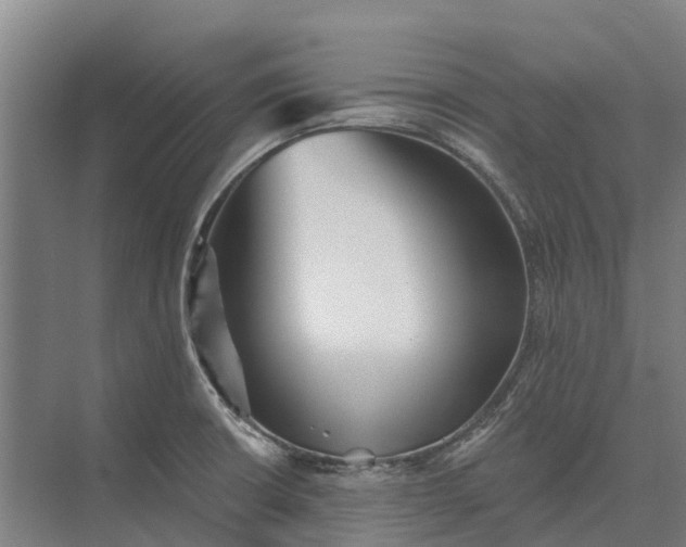 X0000073541426200608141040