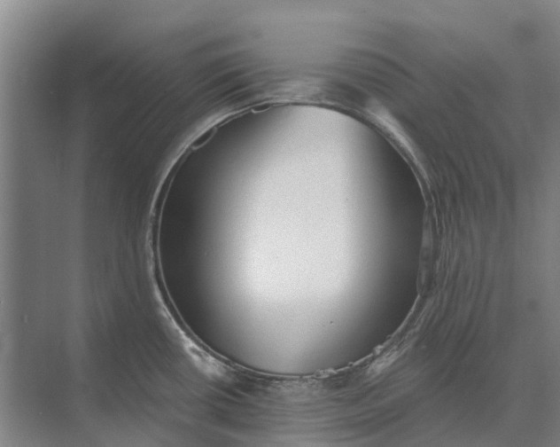 X0000073541434200608141041