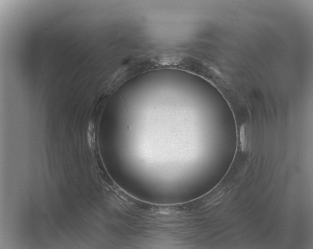 X0000073541443200608141040