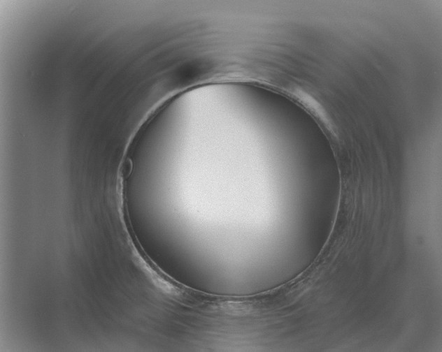 X0000073541476200608141039