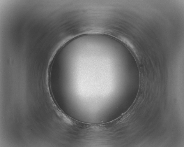 X0000073541480200608141039
