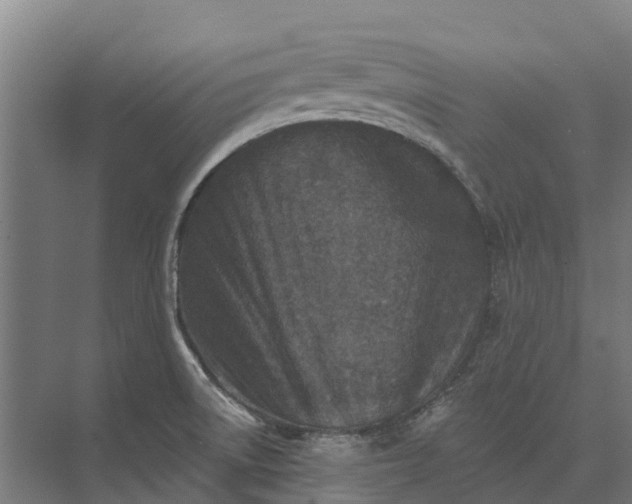 X0000073541522200608141039