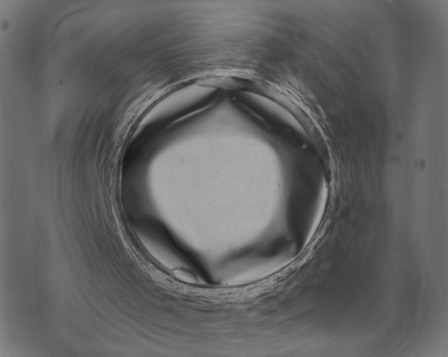 X0000073540001200608211906