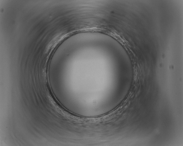 X0000073540002200608211906