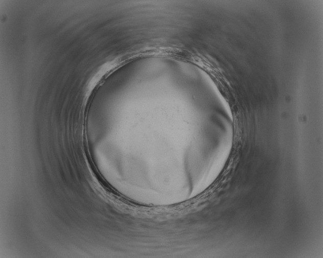 X0000073540003200608211906